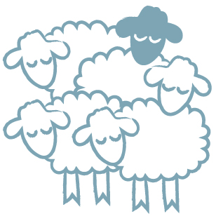 One sheep standing out from the flock